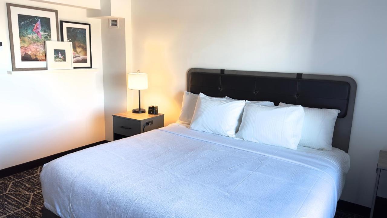 La Quinta By Wyndham Chicago O'Hare Airport Hotel โรสมอนต์ ภายนอก รูปภาพ